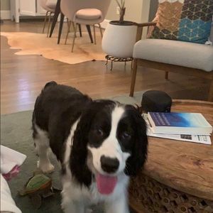 Meet your Posher, Karin